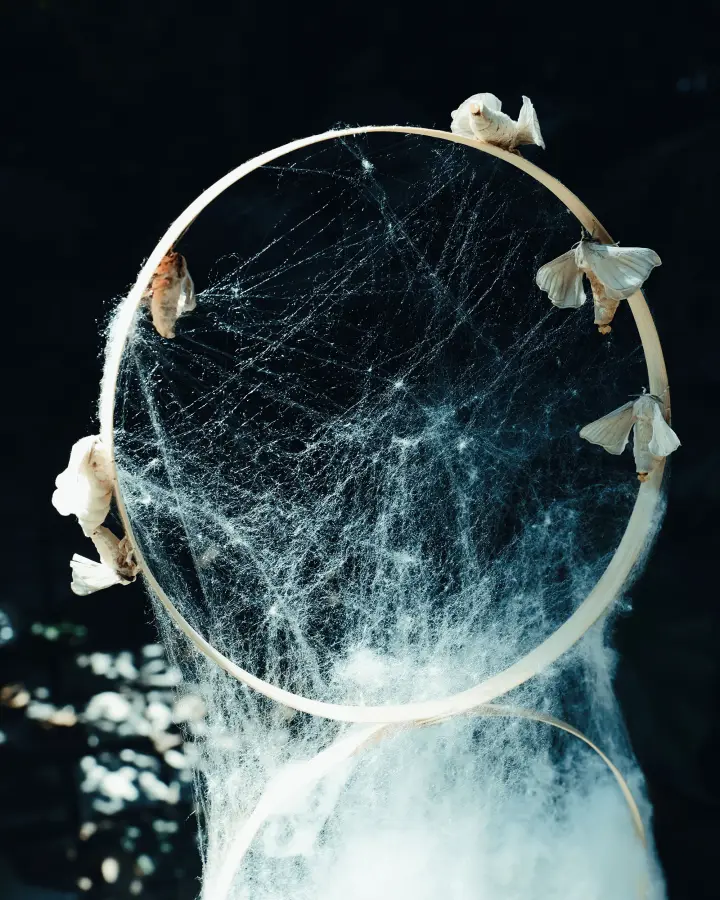 A Silkworm's Dreams Weave A Rhyme
