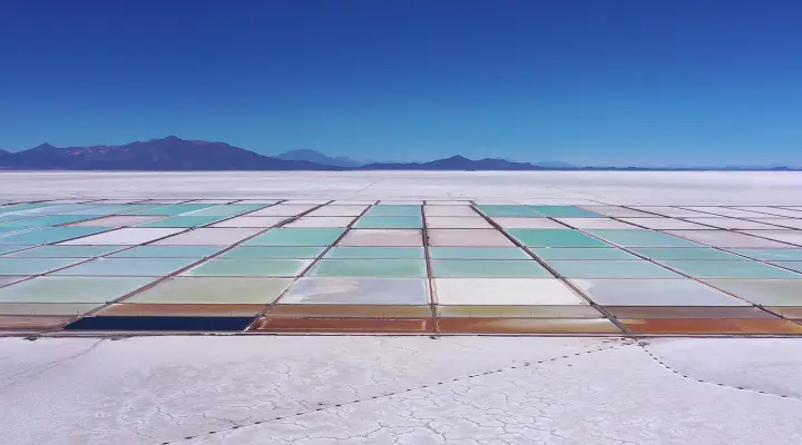 Surviving the White Gold rush in the Lithium triangle