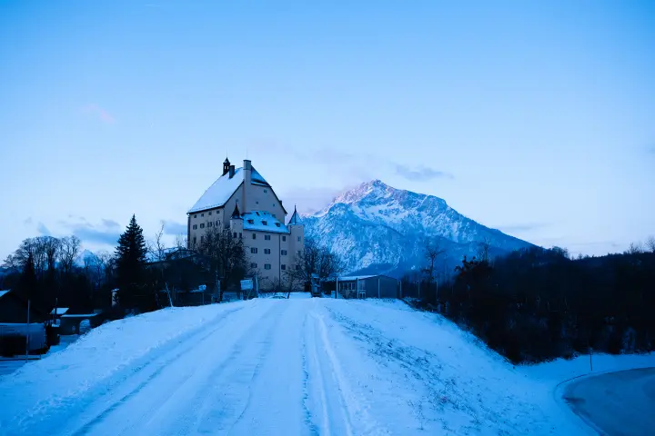 The Last Nuns of Goldenstein Castle
