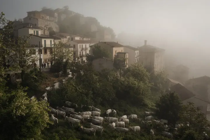 The last transhumance